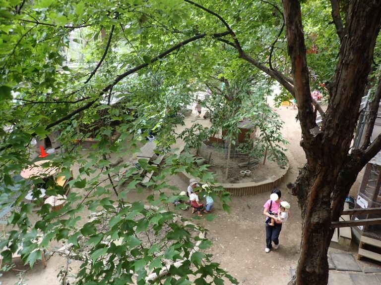 先導的な教育・保育実施園の訪問：あけぼの幼稚園に伺いました。